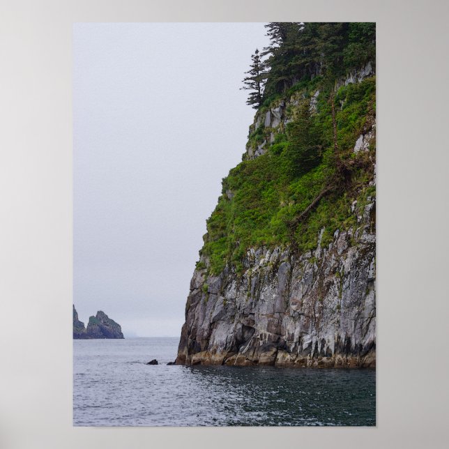 Cliff In Kenai Painterly Poster (Front)