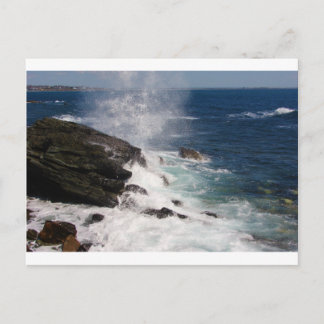 Cliff Walk at Newport, RI Postcard