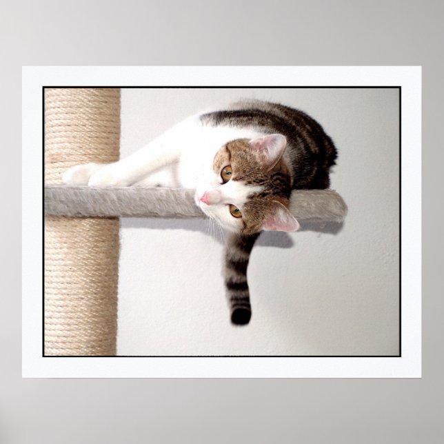 cliffhanger poster (Front)