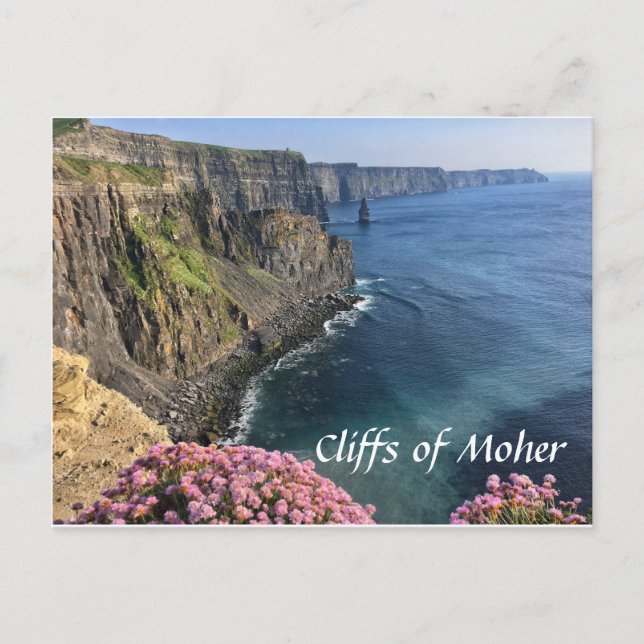 Cliffs of Moher, Ireland, Flowers, Postcard (Front)