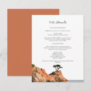Cliffside Cypress Big Sur Coast Wedding Details Enclosure Card