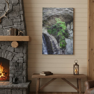 Cliffside Sentinel – Blue Ridge Photography Canvas Print