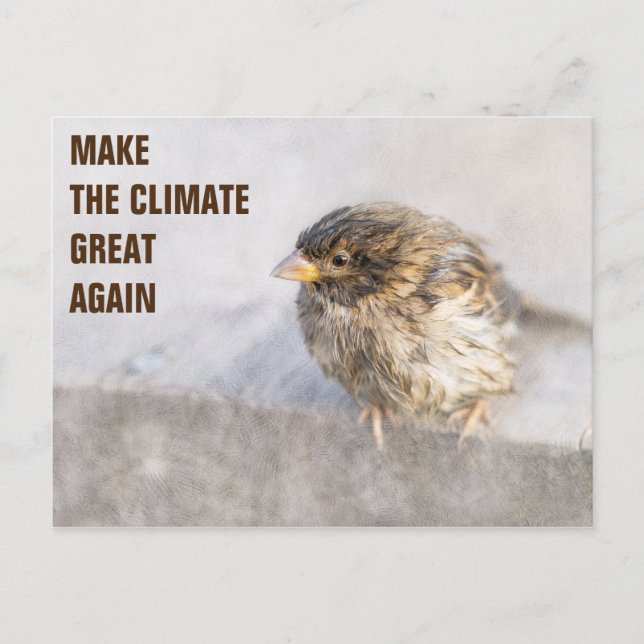 Climate change awareness postcard (Front)