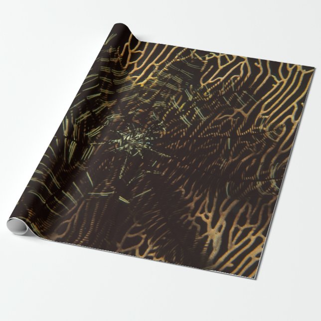 Climate Wrapping Paper (Unrolled)