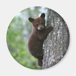 Climbing Bear Cub Magnet