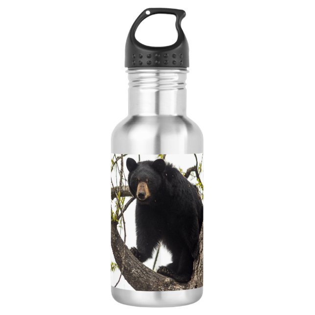 Climbing Black Bear 532 Ml Water Bottle (Front)