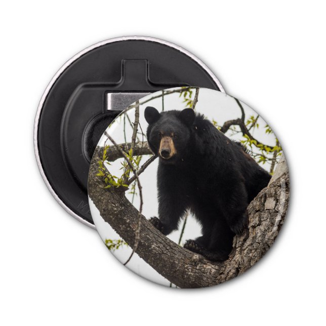 Climbing Black Bear Bottle Opener (Front)