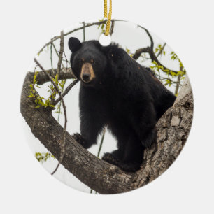 Climbing Black Bear Ceramic Tree Decoration