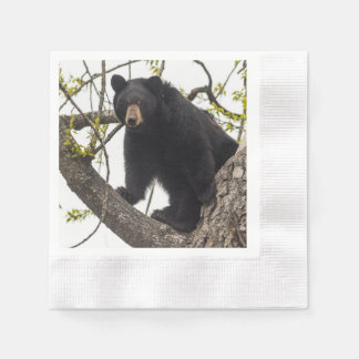 Climbing Black Bear Napkin