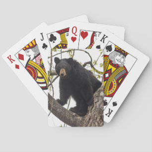 Climbing Black Bear Playing Cards