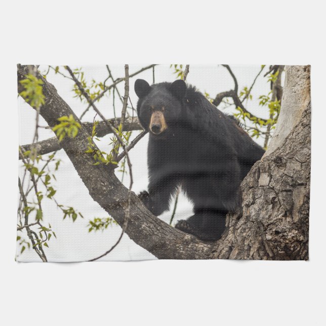 Climbing Black Bear Tea Towel (Horizontal)