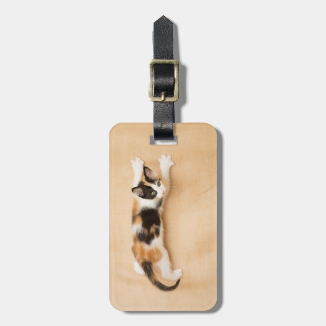 Climbing Calico Kitten Luggage Tag (Front Vertical)