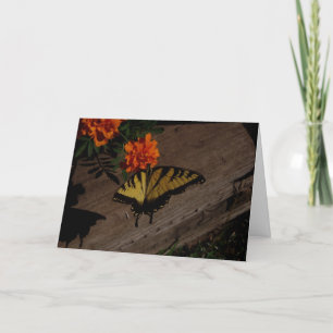 "Climbing" Easter Card