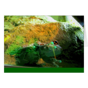 Climbing Frog CB