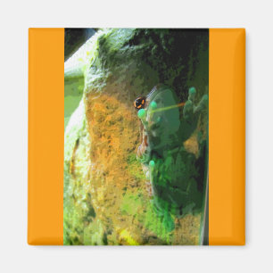 Climbing Frog CB Magnet