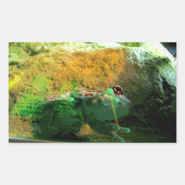 Climbing Frog CB Rectangular Sticker (Front)