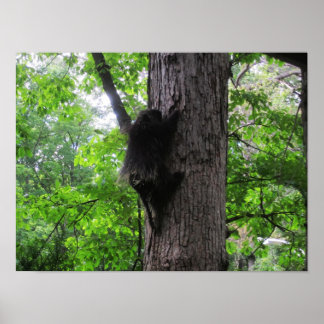 Climbing High Poster