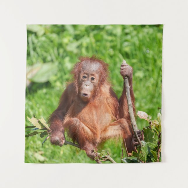 Climbing Orangutan Baby Tapestry (Front)