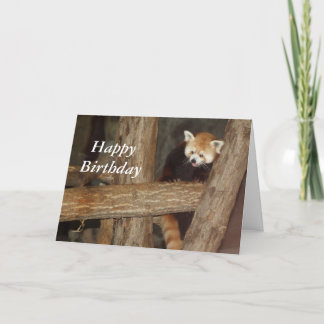 Climbing Panda Birthday Card