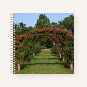 Climbing Rose Arch Elizabeth Park Garden Hartford Notebook