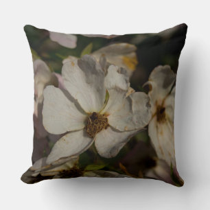 Climbing Rose Cushion