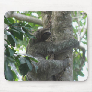 Climbing Sloth Mouse Pad