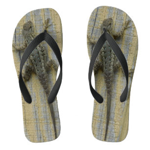 Climbing the wall jandals