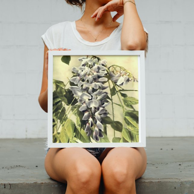 Climbing Windblown Wisteria Vine Acrylic Painting Poster (Creator Uploaded)
