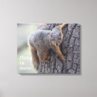Clinging Squirrel