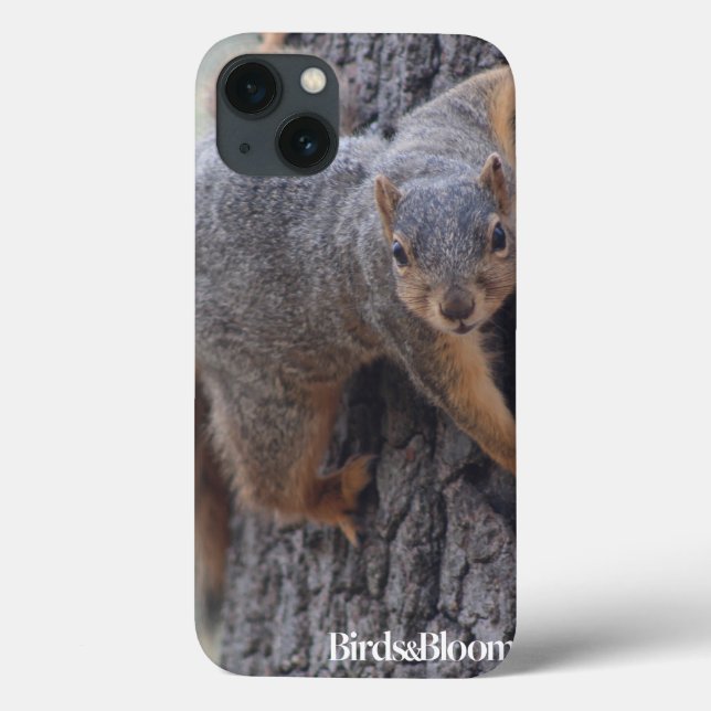 Clinging Squirrel Case-Mate iPhone Case (Back)