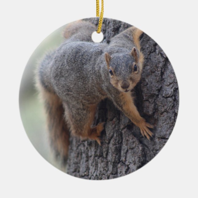 Clinging Squirrel Ceramic Tree Decoration (Front)