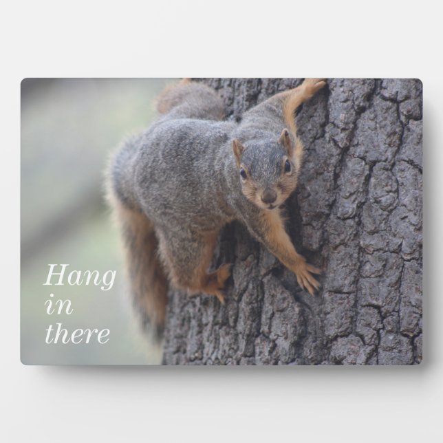 Clinging Squirrel Plaque (Front)