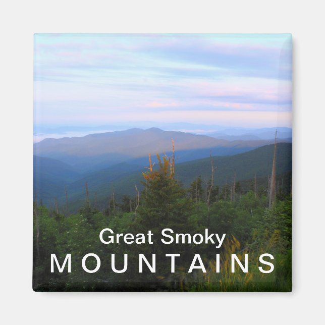 Clingmans Dome overlook - Great Smoky Mountains Magnet (Front)