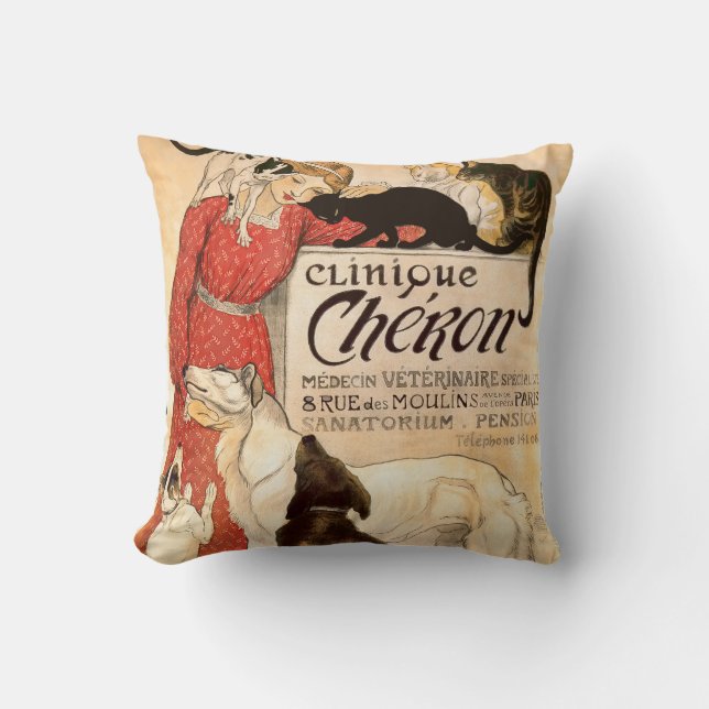 Clinique Cheron Paris Veterinary Advertisement Cushion (Front)