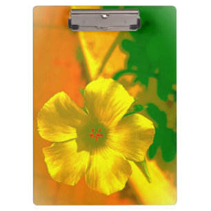 CLIPBOARD STYLE AND DESIGN