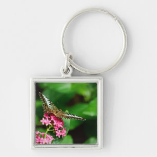 Clipper on Pentas 2 Keychain
