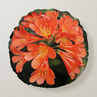 Clivia Miniata - The Orange Beautiful Flower Round Cushion