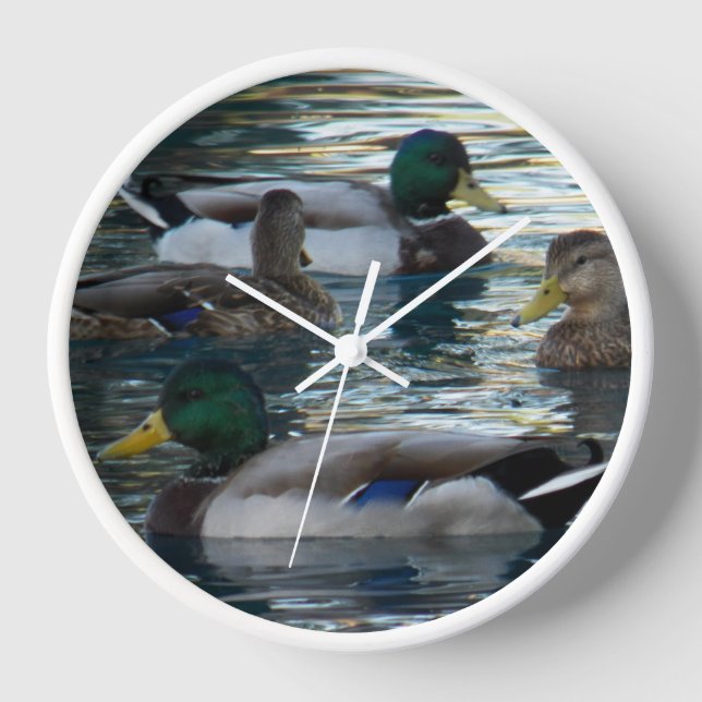 Clock - Duck Duck Duck Duck (Front)