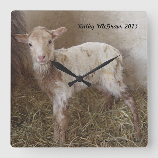Clock: lamb KathyMcGraw Square Wall Clock (Front)