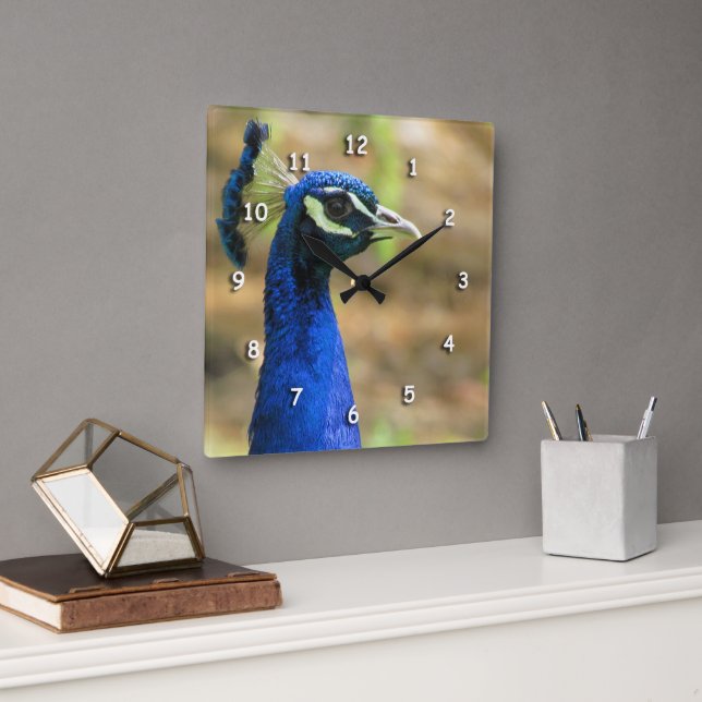 Clock - Peacock Portrait (Office)