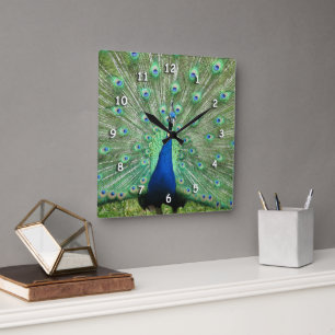 Clock - Peacock Tail Feathers