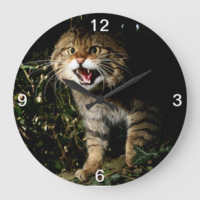 Clock - Scottish wildcat (Front)