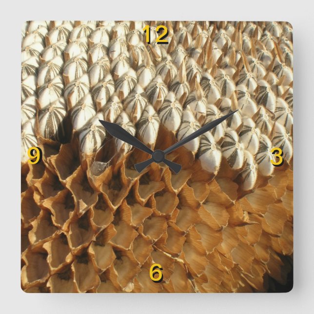 Clock - Sunflower seeds (Front)