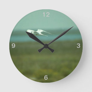 Clock - Tern in flight