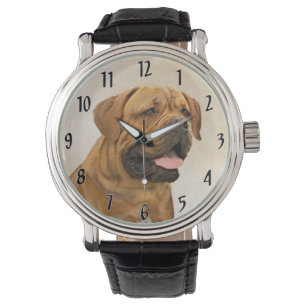 clock watch