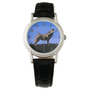 clock watch