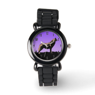 clock watch
