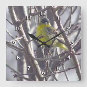 Clock - Yellow Finch in Branches