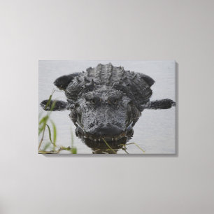 Close and personal canvas print