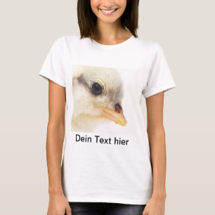 Close of small chicken, chicken and chicken T-Shirt